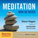 Meditation Now or Never Audiobook