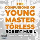 The Confusions of Young Master Törless Audiobook
