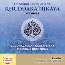 Principal Texts of the Khuddaka Nikaya: Volume 3 Audiobook