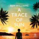 A Trace of Sun Audiobook