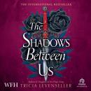 The Shadows Between Us Audiobook