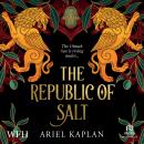 The Republic of Salt: The Mirror Realm Cycle, Book 2 Audiobook