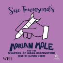 Adrian Mole and the Weapons of Mass Destruction Audiobook