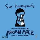 The Lost Diaries of Adrian Mole, 1999-2001 Audiobook