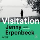 Visitation Audiobook