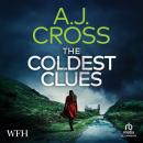 The Coldest Clues Audiobook
