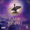 Lark Rising: The Netherweird Chronicles, Book Three Audiobook