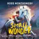 Small Wonder Audiobook