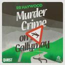 Murder Crime On Gallymay Audiobook