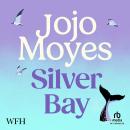 Silver Bay Audiobook