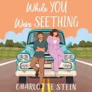 While You Were Seething: A Sizzling Enemies-to-Lovers Bookish Romance Audiobook