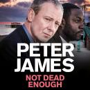 Not Dead Enough Audiobook