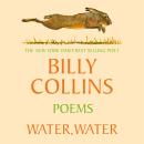 Water, Water Audiobook