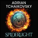 Spiderlight: A fantasy adventure quest where good and evil are at war Audiobook