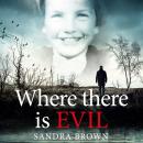 Where There Is Evil: An Extraordinary Quest to Find the Truth about the Disappearance of an Eleven-Y Audiobook