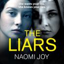 The Liars Audiobook