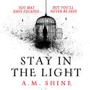 Stay in the Light: the chilling sequel to hit horror novel THE WATCHERS Audiobook