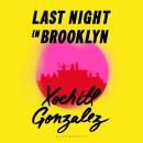 Last Night in Brooklyn Audiobook