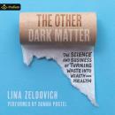 The Other Dark Matter Audiobook