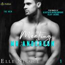 Meeting Mr. Anderson: The Men, Book 1 Audiobook