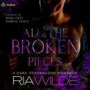 All the Broken Pieces Audiobook