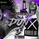 Snatched Up by a Don 3: A BBW Love Story Audiobook