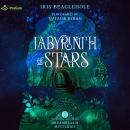 Labyrinth of Stars: Dreamrealm Mysteries, Book 2 Audiobook