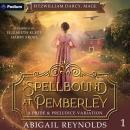 Spellbound at Pemberley: Fitzwilliam Darcy, Mage, Book 1 Audiobook