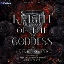 Knight of the Goddess: Blood of a Fae, Book 4 Audiobook