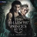 The Shadow Prince's Ruin: Dark Companions, Book 2 Audiobook