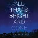 All That’s Bright and Gone: A Novel Audiobook