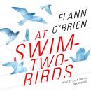 Cover of At Swim-Two-Birds