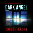 Dark Angel Audiobook