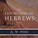 An Exposition of Hebrews, Vol. 1
