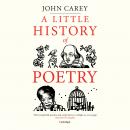A Little History of Poetry Audiobook