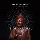 Siddhartha: A Novel Audiobook
