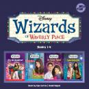 Wizards of Waverly Place: Books 1-4, Disney Press 