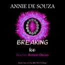 Breaking Ice Audiobook