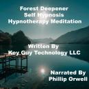 Forest Deepener Self Hypnosis Hypnotherapy Meditation, Key Guy Technology Llc
