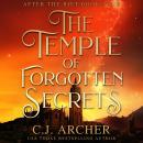 The Temple of Forgotten Secrets: After The Rift, book 4 Audiobook