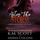 After The Storm: A Project Artemis Novel Audiobook