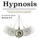Hypnosis: Mind Control Techniques to Hypnotize Yourself and Others the Right Way Audiobook