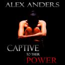 Captive to their Power: An Anthology (BDSM, Alpha Male Dominant, Female Submissive Erotica) Audiobook