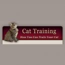 How to Train Your Cat: Learn the basic training your cat needs Audiobook