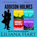 Addison Holmes Mystery Box Set, The: Books 4-7 Audiobook