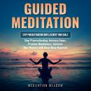 Guided Meditation - Stop Procrastination NOW & Achieve Your Goals: Stop Procrastinating, Increase Fo Audiobook