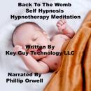 Back To Womb Self Hypnosis Hypnotherapy Meditation