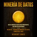 [Spanish] - Minería de Datos: Guía de Minería de Datos para Principiantes, que Incluye Aplicaciones para Negocios, Técnicas de Minería de Datos, Conceptos y Más