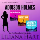 Addison Holmes Mystery Box Set, The: Books 1-3 Audiobook