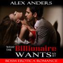 What the Billionaire Wants (Boxed Set) (BDSM Erotica Romance) Audiobook